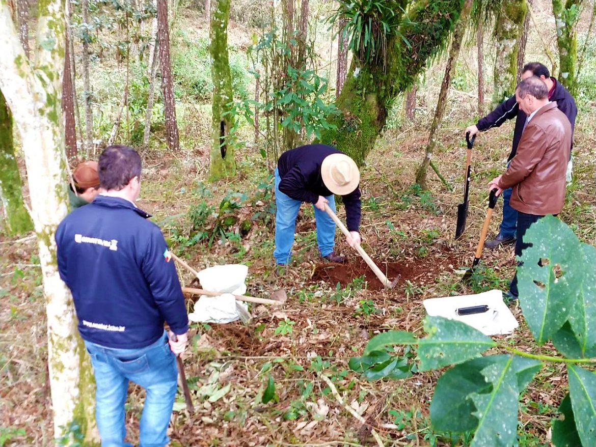 Unidade de Observação de Erva-Mate é instalada em Ilópolis